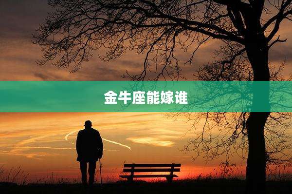金牛座能嫁谁