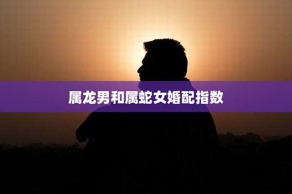 属龙男和属蛇女婚配指数