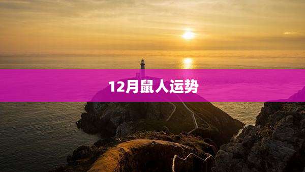 12月鼠人运势