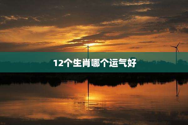 12个生肖哪个运气好