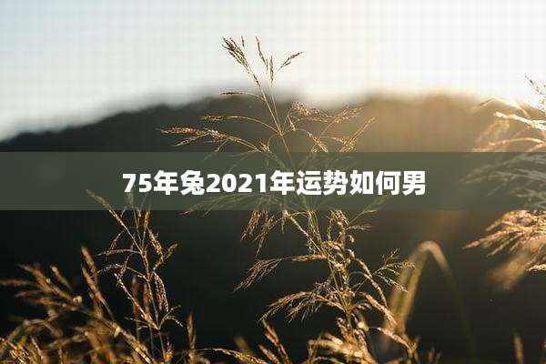 75年兔2021年运势如何男