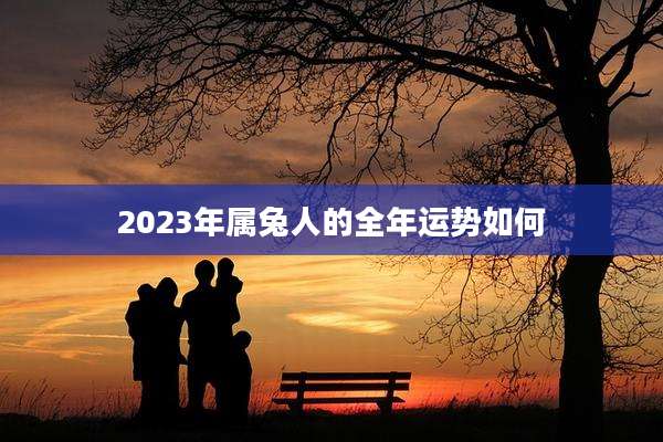 2023年属兔人的全年运势如何