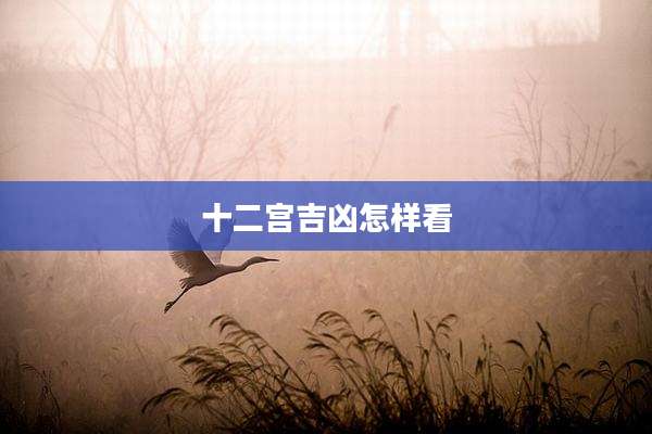 十二宫吉凶怎样看