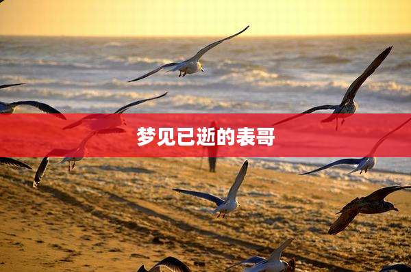 梦见已逝的表哥