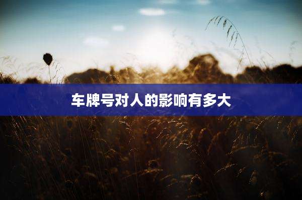 车牌号对人的影响有多大