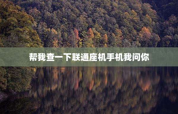 帮我查一下联通座机手机我问你