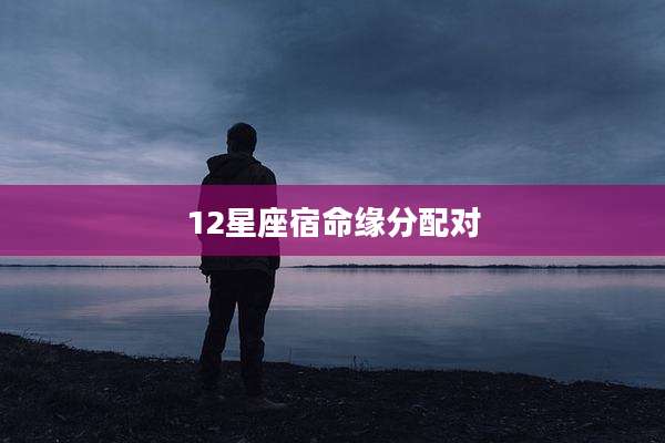 12星座宿命缘分配对