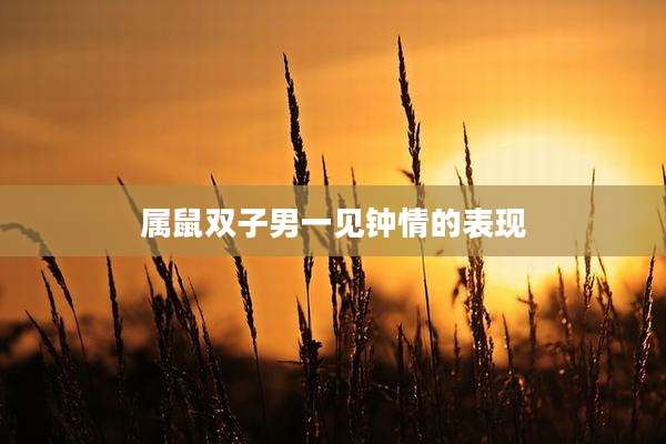 属鼠双子男一见钟情的表现