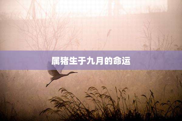 属猪生于九月的命运