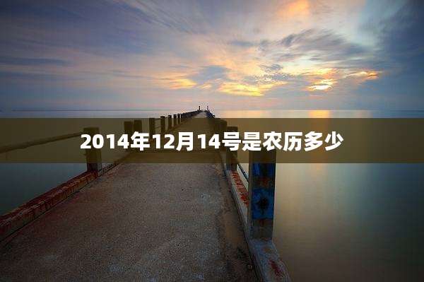 2014年12月14号是农历多少