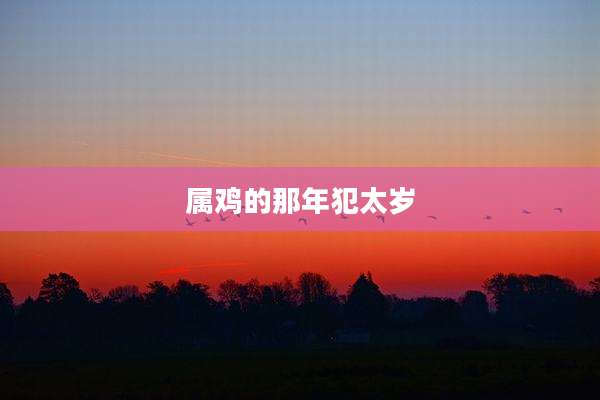 属鸡的那年犯太岁