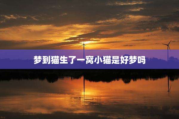 梦到猫生了一窝小猫是好梦吗