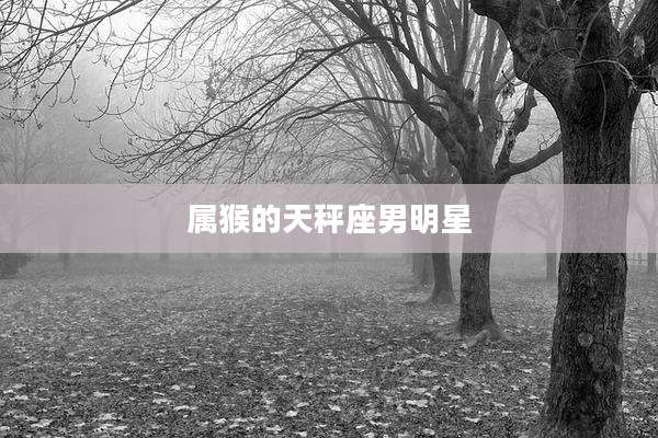 属猴的天秤座男明星