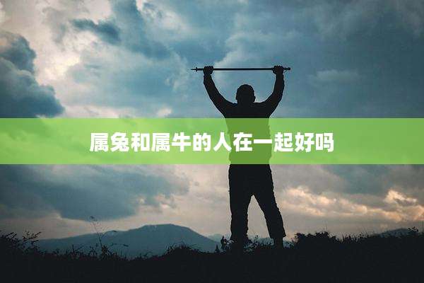 属兔和属牛的人在一起好吗