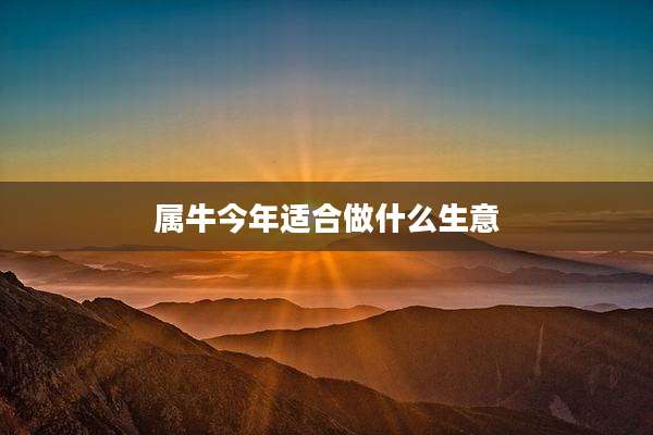 属牛今年适合做什么生意