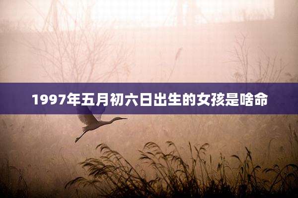1997年五月初六日出生的女孩是啥命