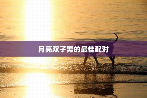 月亮双子男的最佳配对