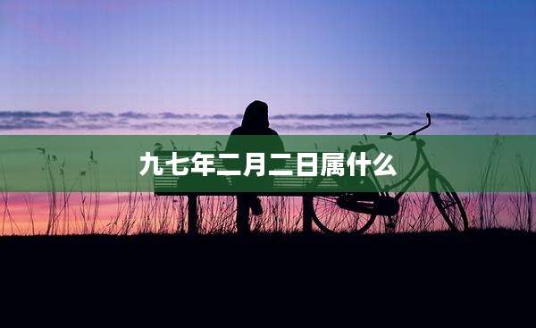 九七年二月二日属什么