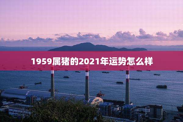 1959属猪的2021年运势怎么样