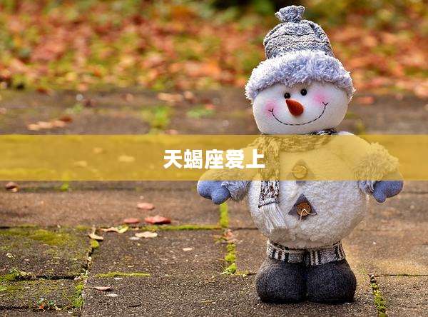 天蝎座爱上