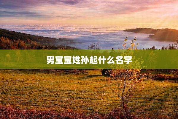 男宝宝姓孙起什么名字