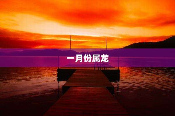 一月份属龙