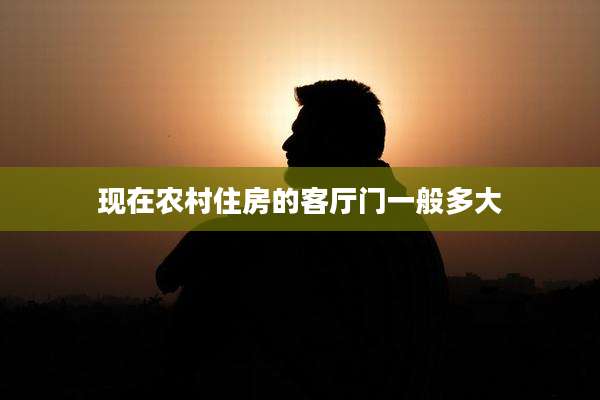 现在农村住房的客厅门一般多大
