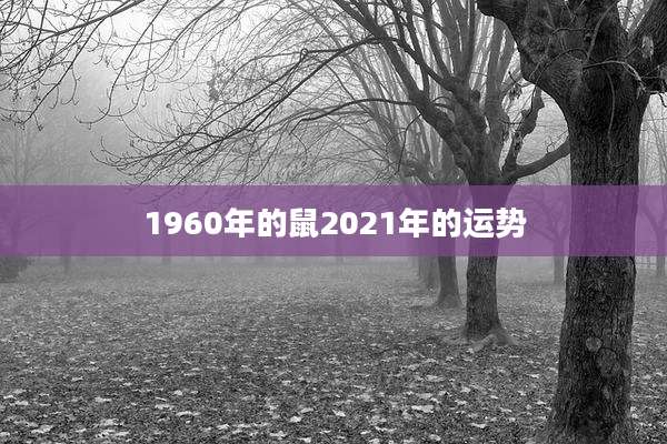 1960年的鼠2021年的运势