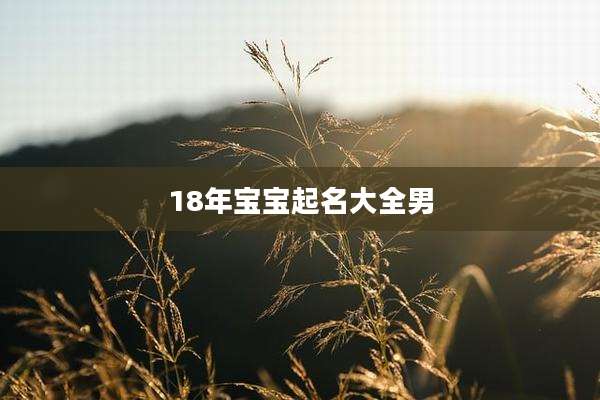 18年宝宝起名大全男