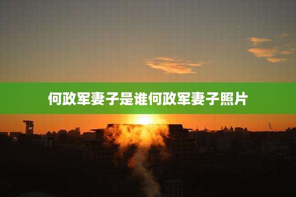 何政军妻子是谁何政军妻子照片