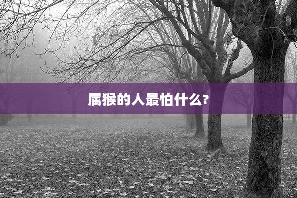 属猴的人最怕什么?