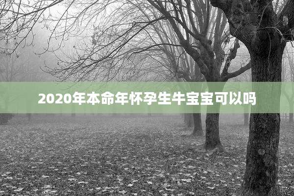 2020年本命年怀孕生牛宝宝可以吗