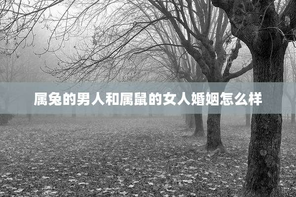 属兔的男人和属鼠的女人婚姻怎么样