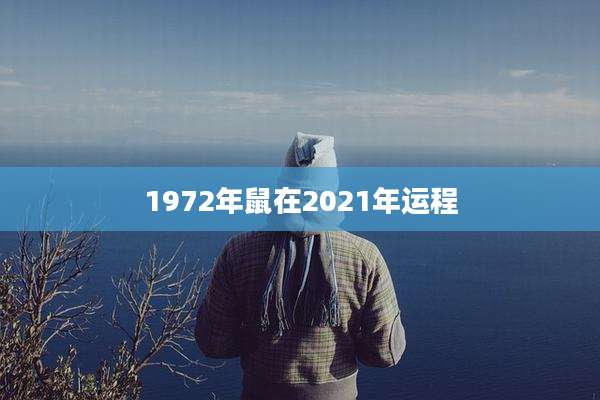 1972年鼠在2021年运程