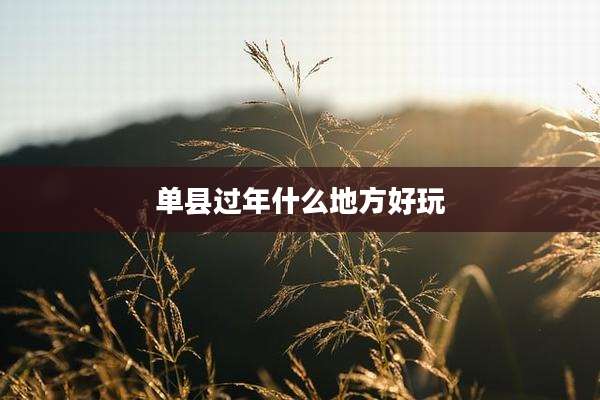 单县过年什么地方好玩