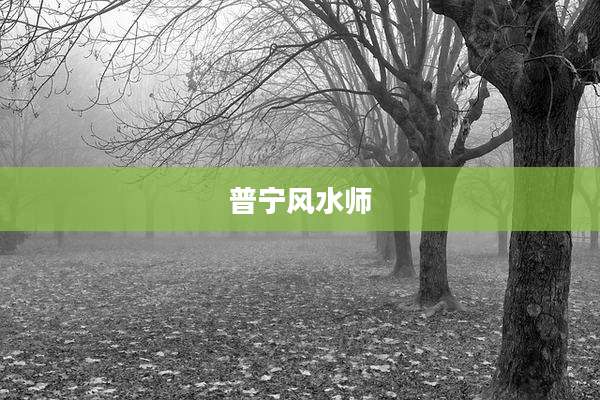 普宁风水师