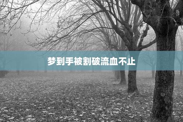 梦到手被割破流血不止