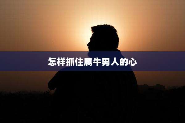 怎样抓住属牛男人的心