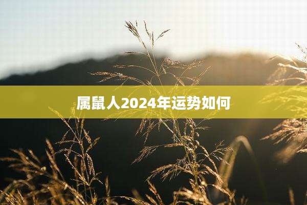 属鼠人2024年运势如何