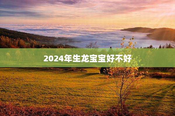 2024年生龙宝宝好不好