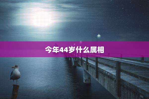 今年44岁什么属相