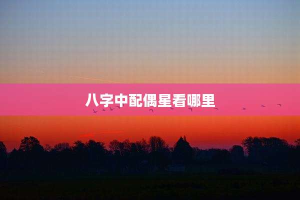 八字中配偶星看哪里