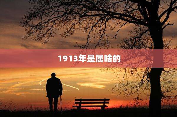 1913年是属啥的