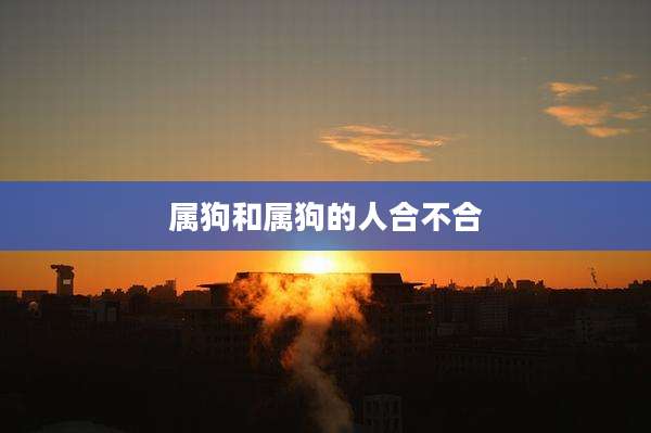 属狗和属狗的人合不合
