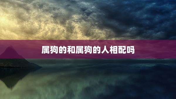 属狗的和属狗的人相配吗