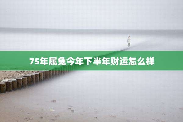 75年属兔今年下半年财运怎么样