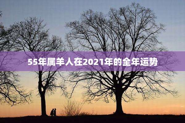 55年属羊人在2021年的全年运势