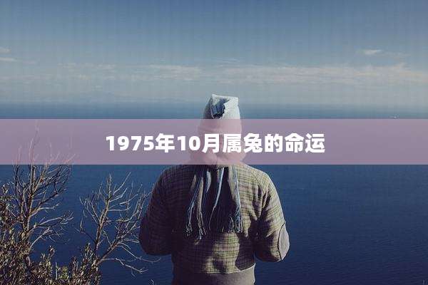 1975年10月属兔的命运