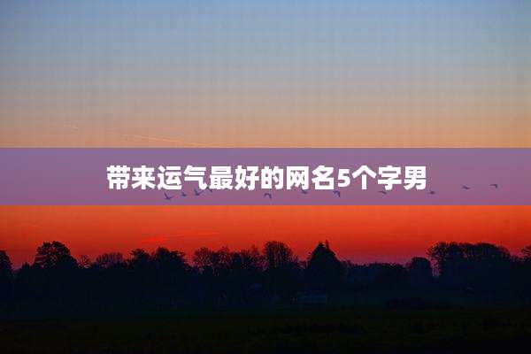 带来运气最好的网名5个字男