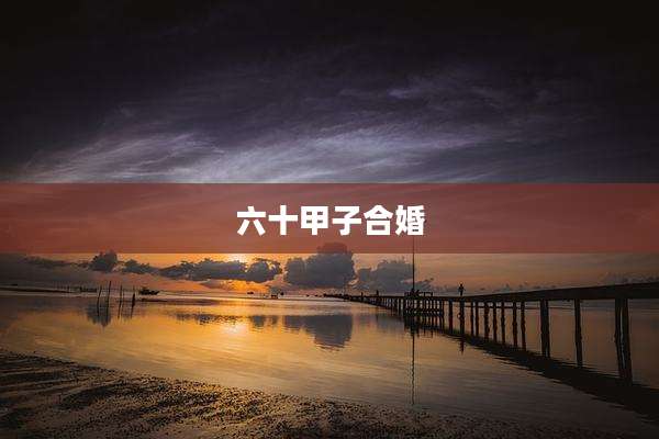 六十甲子合婚